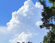 兴平天气预报,兴平7天天气预报,兴平15天天气预报,兴平天气查询